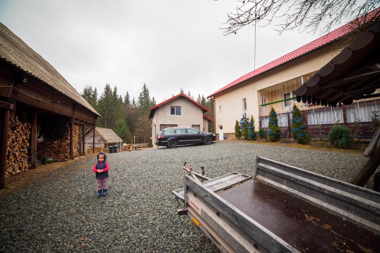 Casa Cosmina Arieseni Villa Bagian luar foto