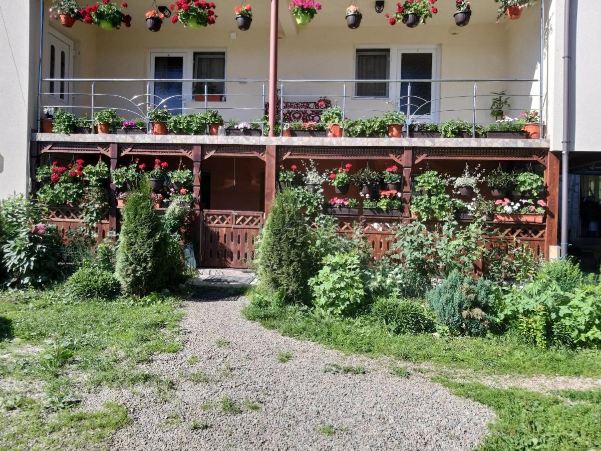 Casa Cosmina Arieseni Villa Bagian luar foto
